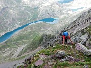 Pizzo Pradella (2626 m) con tanti bei fiori, salito da Valgoglio il 9 luglio 2016 - FOTOGALLERY